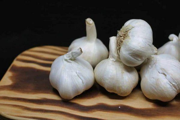 How to plant garlic at home?