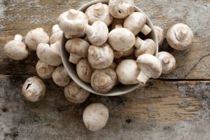 Edible mushrooms properties