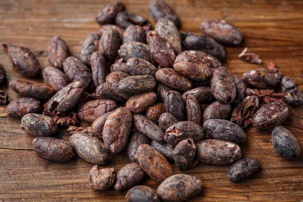 Todo lo que necesitas saber sobre la Ceremonia del Cacao