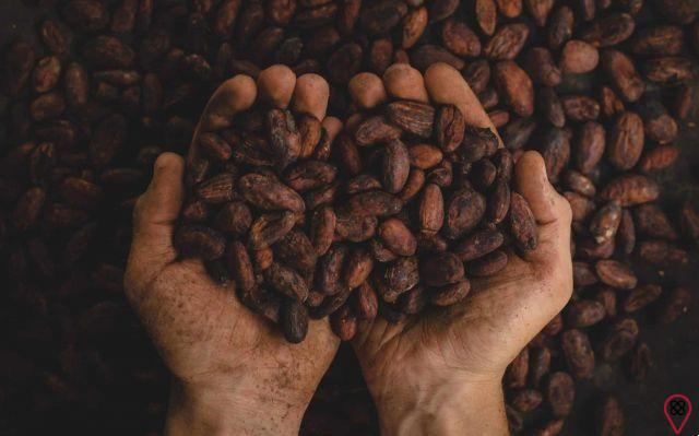 Todo lo que necesitas saber sobre la Ceremonia del Cacao
