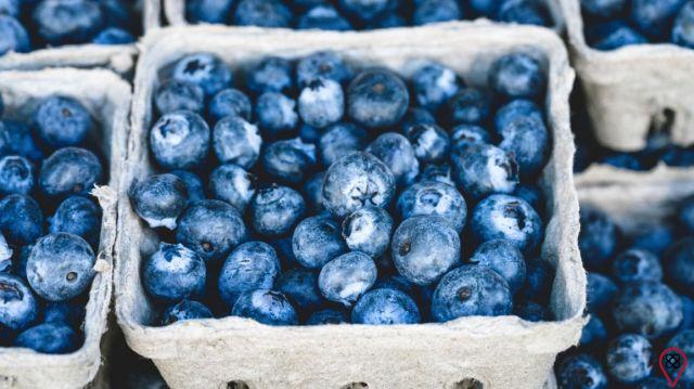 Blueberries: Small and Powerful Functional Food