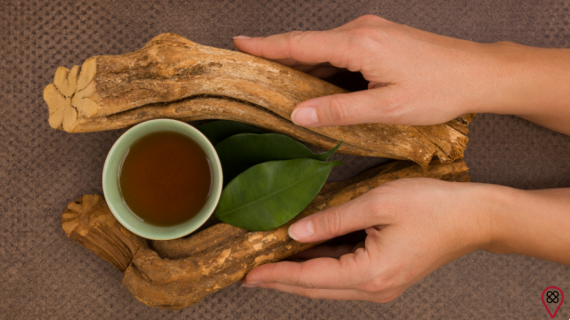 Ayahuasca tea: what it is, how it works, dangers and benefits of the substance!