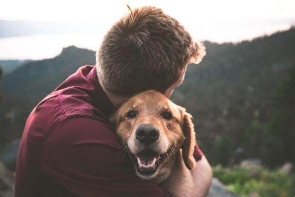 What is the reason for the bond of friendship between man and canines?