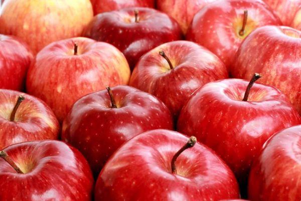 Manzana: la fruta del equilibrio en la nutrición energética