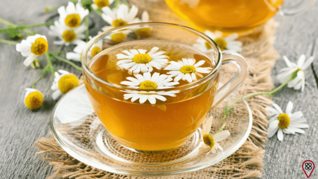 6 mejores tés para calmar