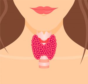 25 findings about thyroid dysfunction
