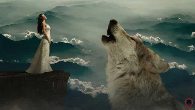 Women Who Run With Wolves: Why Should You Read This Book?