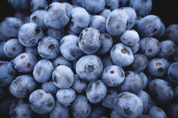 Antioxidant: understand what it is and what it is for