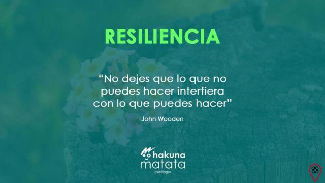 What does resilience mean?