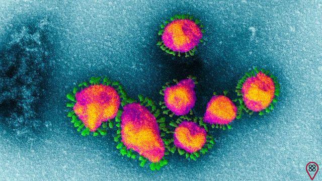 Coronavirus: know the quantum view of the situation