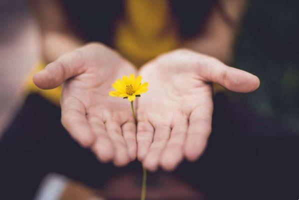 11 formas de cultivar la gratitud