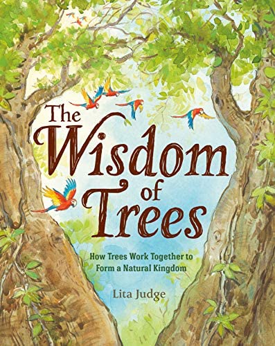 la sagesse des arbres