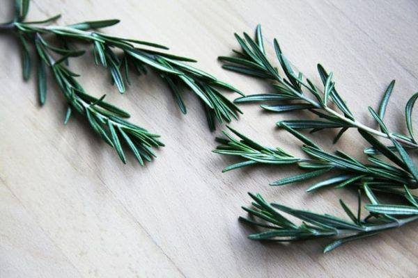 Rosemary: The Mediterranean Memory Herb