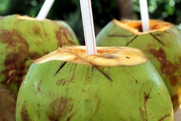 Agua de coco: beneficios y recetas