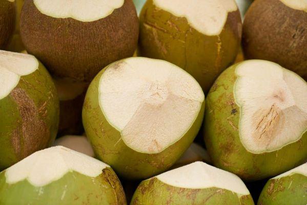 Agua de coco: beneficios y recetas