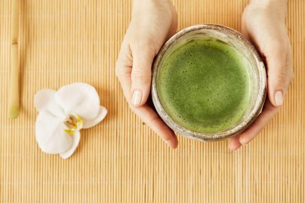 Discover the benefits of Matcha tea, a powerful source of energy