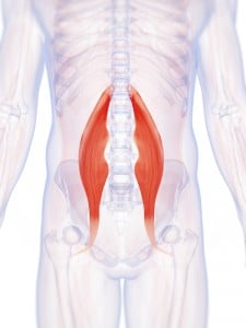 PSOAS: Muscle of the Soul