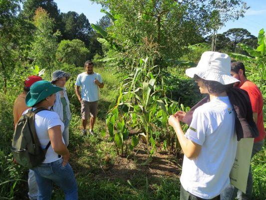 Do you know what an agroforestry is?