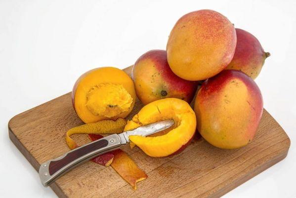 Can dogs eat mango?