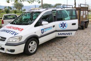 Samuvet: muchas vidas se salvan con las ambulancias de animales