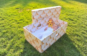 Finland distributes cardboard boxes to newborns