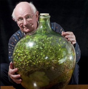 Descubre el jardín cultivado en botella desde 1972. ¿Es posible?