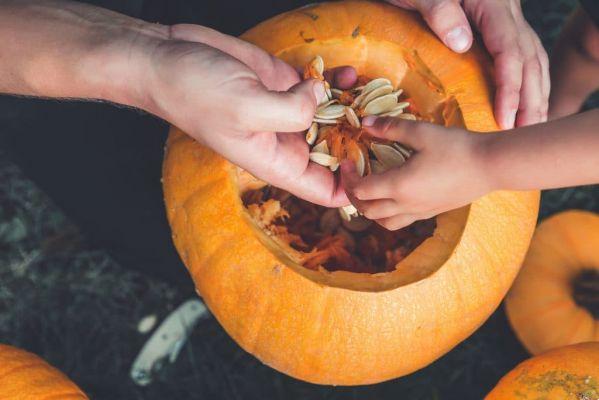 Pumpkin seed benefits