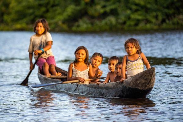 Día del Amazonas: ¿Por qué esta fecha es más importante de lo que pensamos?