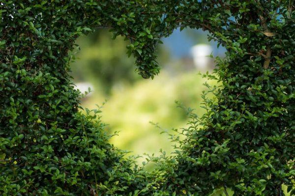 Love – The Language of God's Heart
