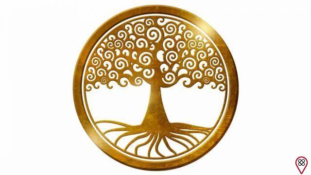 Tree of life: meaning and use of this spiritual symbol