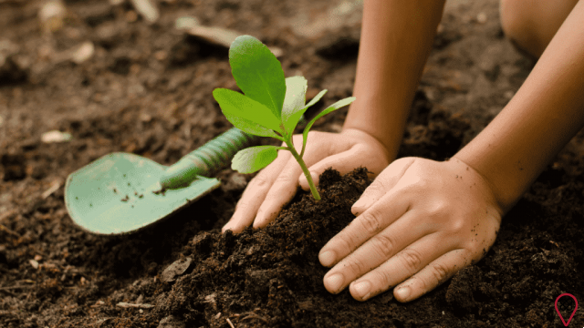 Journée mondiale des sols - Mère Nature appelle à l'aide !