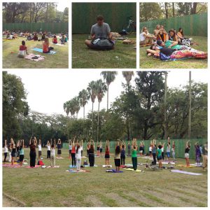 Collectif Namaskar : cours de yoga gratuits et en plein air