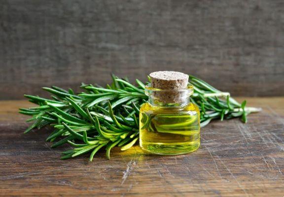 How is rosemary good for the brain?