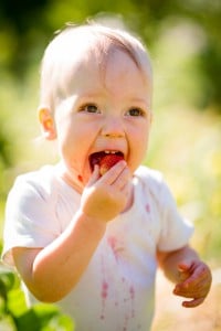 BLW method: food introduction without baby food