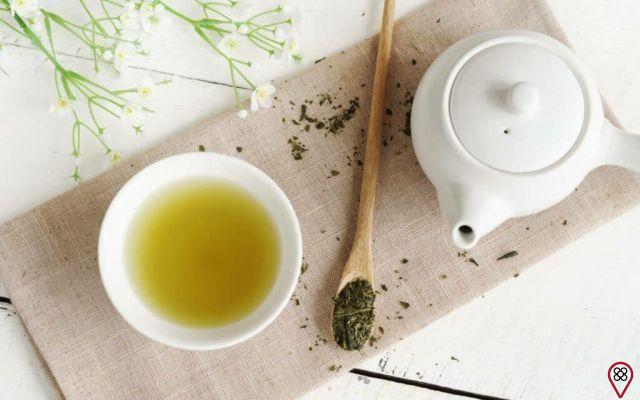 Green Tea: The Antioxidant Ritual Your Body Needs!