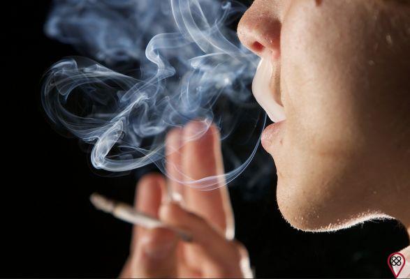 Marihuana: ¡Fumar todos los días puede ser muy dañino! Entender