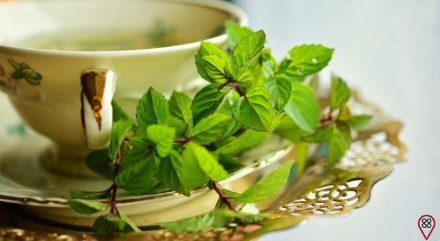 Thé contre les maux d'estomac et la gastrite