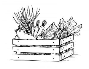 Veggie Box : une autre façon de découvrir les produits vegan