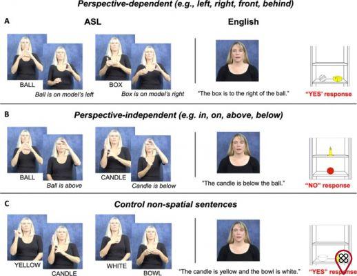 Body Language: Stroke
