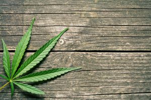 Cannabis use for spiritual treatment