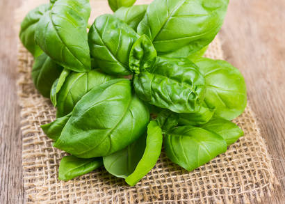 The benefits provided by basil – basil