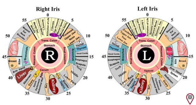Iridology: what is it and how does it work?