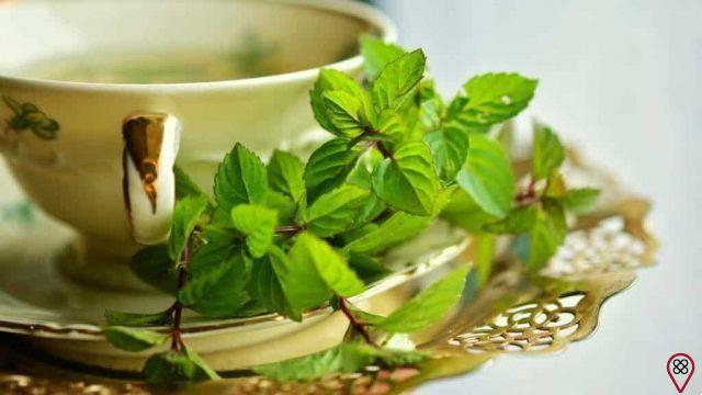 Las mejores recetas caseras de té ayurvédico para desintoxicar el cuerpo