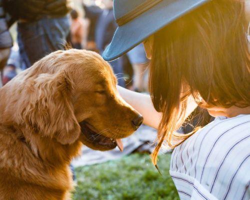 5 reasons to make your life more Zen through pets