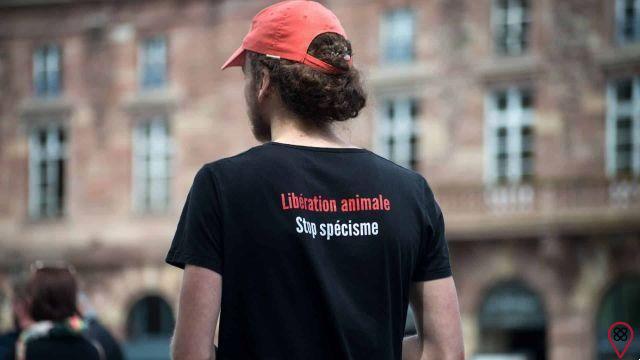 Do you know what speciesism is?