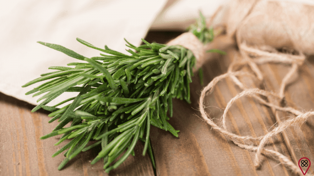 5 herbes qui protègent contre la maladie d'Alzheimer
