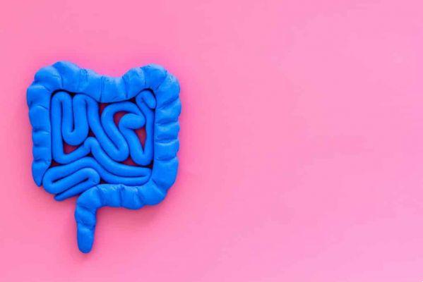 The gut is our second brain