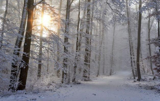 Winter and the Sun in Cancer: what can we learn from the energies of this moment?
