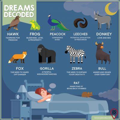 ¿Qué significa soñar con animales?