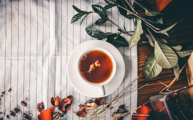 Fight insomnia: soothing tea recipe